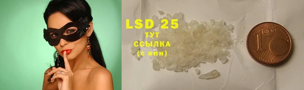 прущие крисы Аркадак