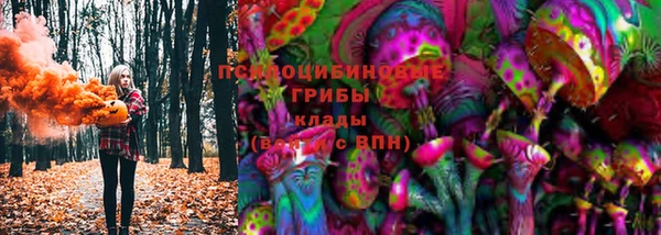 МДПВ Армянск