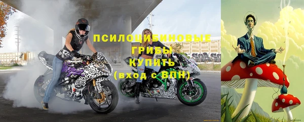 МДПВ Армянск
